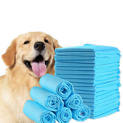 Pad de entrenamiento de mascotas biodegradable ecológico para perros gatos animales en tamaños XS-XXXL