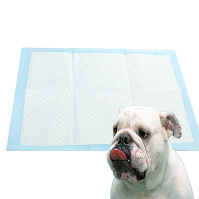 Película trasera de PE transpirable Pantalones de orina para mascotas negros para perros Antideslizantes y súper absorbentes