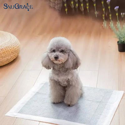 Pads de orina para mascotas de SnuGrace de tamaños XS-XXXL Pulpa de flujo SAP Tejido de tejido no tejido PE