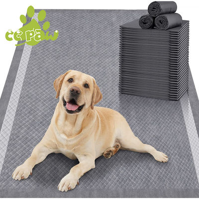 Accesorios de orina para mascotas absorbentes de carbón para perros gatos animales Accesorios de entrenamiento desechables