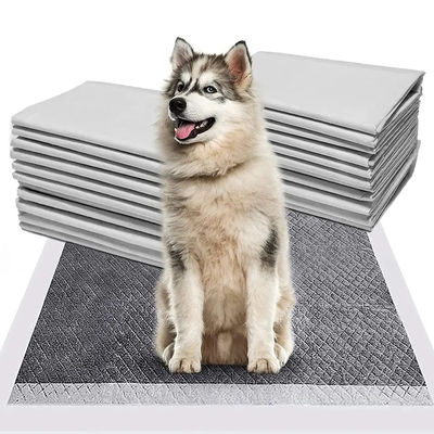 CE ISO Certificado Blue SnuGrace Cachillero para perros de pis de absorción rápida y duradera de entrenamiento de mascotas