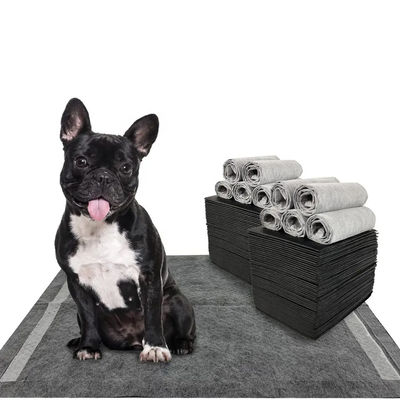 CE ISO Certificado Blue SnuGrace Cachillero para perros de pis de absorción rápida y duradera de entrenamiento de mascotas