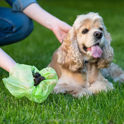 Bolsa biodegradable de caca para perros en color personalizado hecha de material para la eliminación de desechos de mascotas