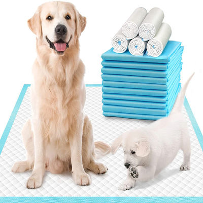 Pads personalizados para perros con Sandia o Sumitomo SAP y prevención de fugas 3D