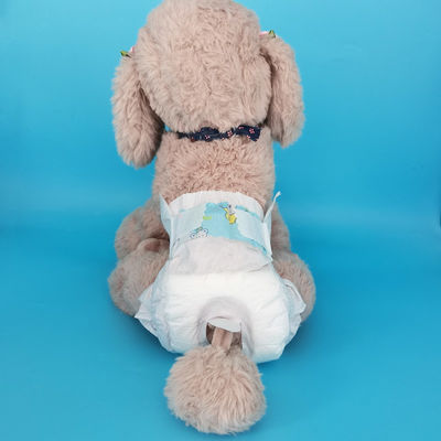 XS pañales para perros envolver con Sandia o Sumitomo SAP y diseño anti-fuga