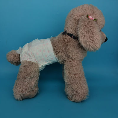 XS pañales para perros envolver con Sandia o Sumitomo SAP y diseño anti-fuga