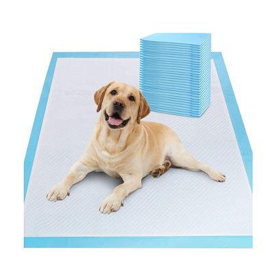 Muestras ofrecidas gratuitamente OEM/ODM Baños de orina para mascotas para entrenamiento y sueño de cachorros
