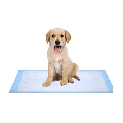Muestras ofrecidas gratuitamente OEM/ODM Baños de orina para mascotas para entrenamiento y sueño de cachorros