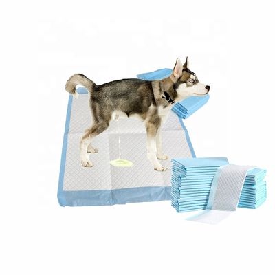 Muestras ofrecidas gratuitamente OEM/ODM Baños de orina para mascotas para entrenamiento y sueño de cachorros