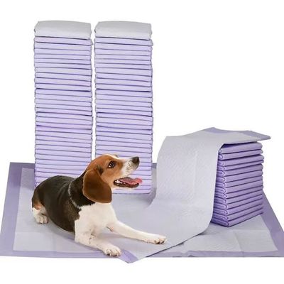 Muestras ofrecidas de forma gratuita almohadillas desechables para orinar mascotas con pegatinas de ubicación en cuatro esquinas