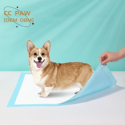 Pad de entrenamiento de mascotas biodegradable ecológico para perros gatos animales en tamaños XS-XXXL