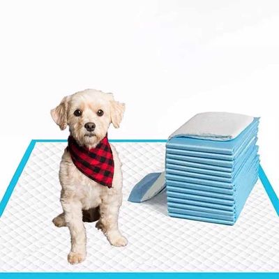 Pad para mascotas de tejido no tejido para entrenamiento de perros cachorros Pulpa de pelusa SAP Tejido PE Muestras gratuitas