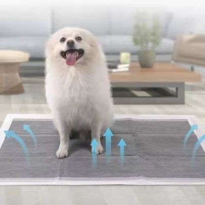 Entrenamiento de cachorros de mascotas Baños de orina con Sandia o Sumitomo SAP y color personalizado