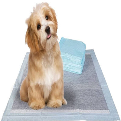 Entrenamiento de cachorros de mascotas Baños de orina con Sandia o Sumitomo SAP y color personalizado