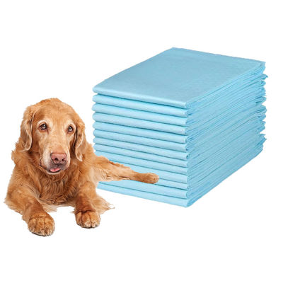 Tamaños personalizados Muestra gratuita de almohadillas desechables para entrenamiento de mascotas para entrenamiento de puppies