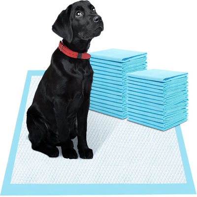 Tamaños personalizados almohadillas desechables para perros con alta absorción de agua a precios competitivos