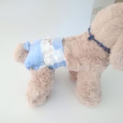 Pañal de perro ecológico personalizado para perras 6 tamaños color personalizable