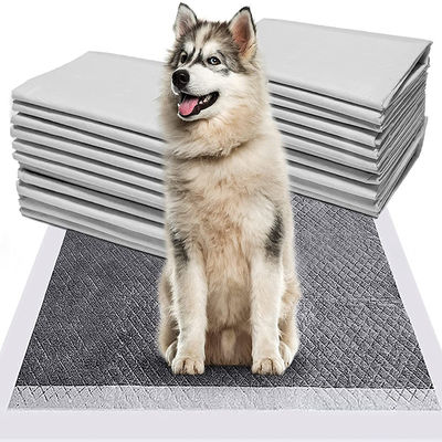 20g-120g Japón Bambú Carbón Absorbente Pedido de entrenamiento de mascotas Pedido de entrenamiento de mascotas Pedido de entrenamiento de mascotas