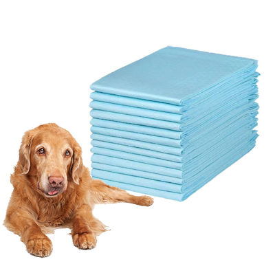 Tamaño personalizado Perrito de un solo uso Perrito de mascotas almohadillas de entrenamiento para perros grises Gris 60X60cm Animales