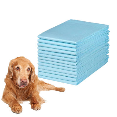 600X600mm Pad de orina desechable para entrenamiento de mascotas para perros con alta absorción