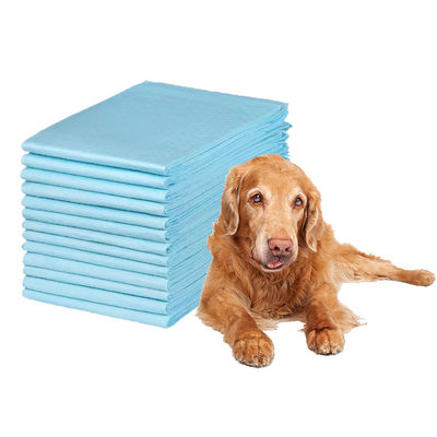 Pads de entrenamiento de orina para mascotas Pañales de ultra-absorción para entrenamiento efectivo de incontinencia