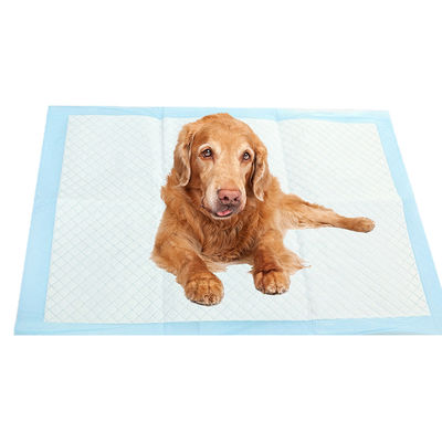 Pads de entrenamiento de orina para perros de mascotas extra grandes para cachorros Azul CE ISO certificado