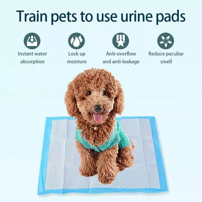 Pad de orina para mascotas de 45x60cm 5 capas de absorción de perros y cachorros Pad de entrenamiento adecuado para todas las mascotas
