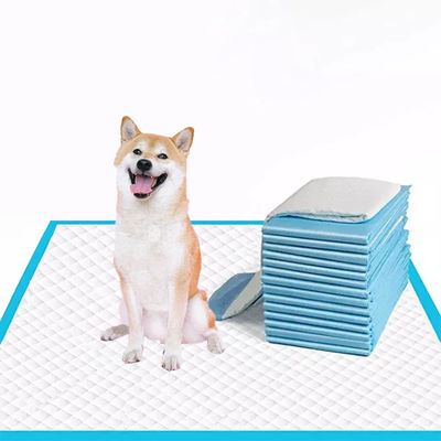 Pad de entrenamiento de mascotas desechable de 5 capas azul para perros pequeños/medianos/grandes súper absorbente