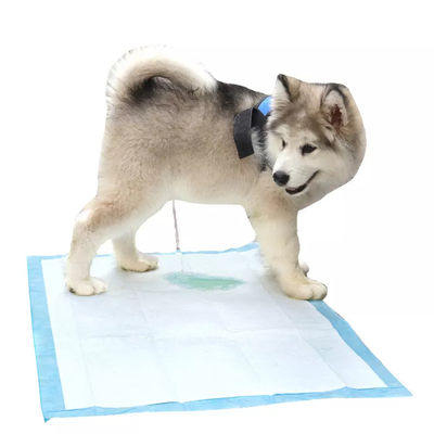 Pads de entrenamiento para mascotas para perros Pad de orina desechable para mascotas con absorción de superficie seca