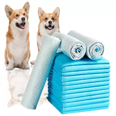 SAP 5 Ply Layer Pet Potty Pads de entrenamiento para perros Puppy Dog Training Pet Toilet Piss Pads