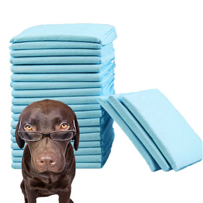 Las almohadillas bajo certificadas CE ISO La solución definitiva para la higiene y la limpieza de las mascotas