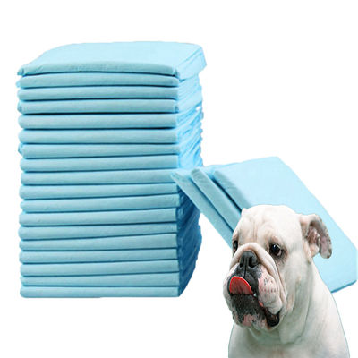 Pañal de orina para mascotas de perro transpirable y absorbente OEM/ODM Aceptado con etiqueta personalizada