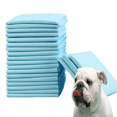 Animales pequeños Pad de entrenamiento de mascotas para absorción de orina y entrenamiento de agilidad