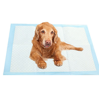 Pads de entrenamiento de cachorros de etiqueta personalizada con diseño quebradizo y función a prueba de fugas