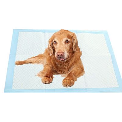 Perros de mascotas Cubierta de orina Animales pequeños Largura X Ancho mm 600X350 600X450 600X600 900X600