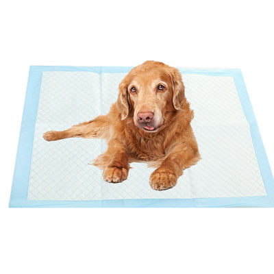 Pantalones para mascotas, pañales ultra absorbentes, esteras para perros y gatos, entrenamiento para orinar, incontinencia.
