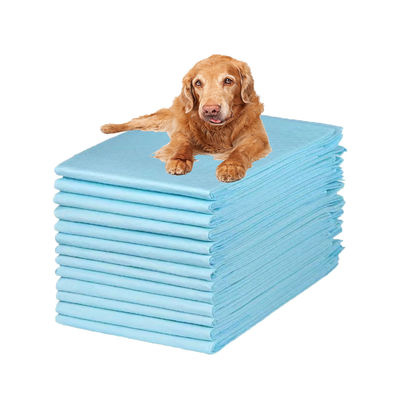 Accesorios desechables para orina de mascotas con capacidad de absorción de 100-2000 ml de limpieza rápida y fácil