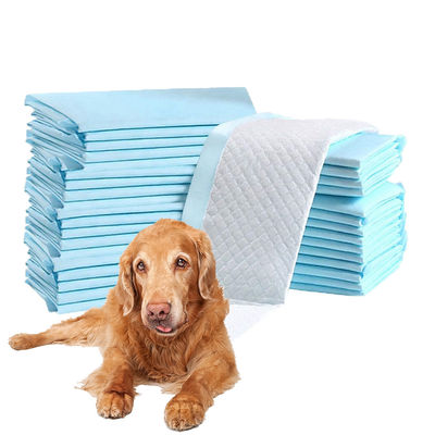 Protección de animales pequeños Olor Eliminación de perfumes Entrenamiento de mascotas almohadilla absorbente de orina