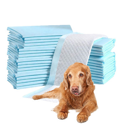 Tipo de artículo Perrito y mascota Accesorios de absorción de orina Precios competitivos para las necesidades del cliente