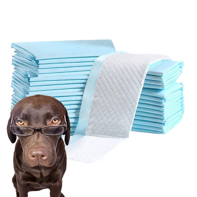 Productos de entrenamiento para mascotas con certificación CE ISO Accesorios absorbentes para perros 90X60 60X60 cm para inodoros para mascotas