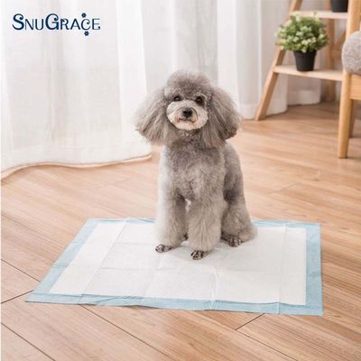 Alta absorción 900X600 Pads de orina desechables para perros almacenados para el entrenamiento de cachorros 600X350