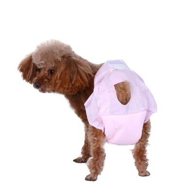 Pañales desechables asequibles para mascotas sin fugas y material de algodón sostenible para el hogar
