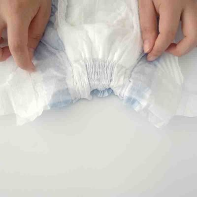 Muñecos desechables para perros para perros fabricados por Pet Diaper
