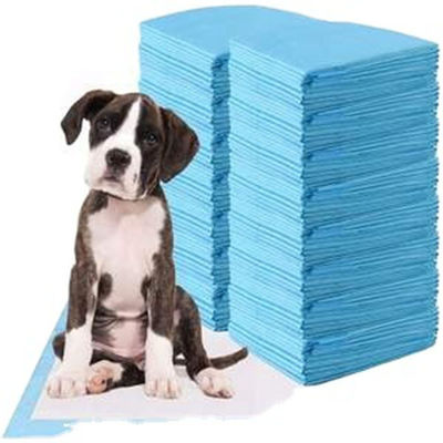 Pad de entrenamiento de orina desechable para cachorros de mascotas