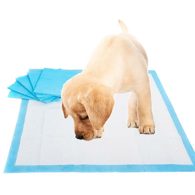 Pad de entrenamiento de orina desechable para cachorros de mascotas