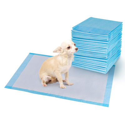 Camas de entrenamiento desechables para mascotas convenientes y absorbentes 33*45/45*45/45*60/60*60/60*90cm